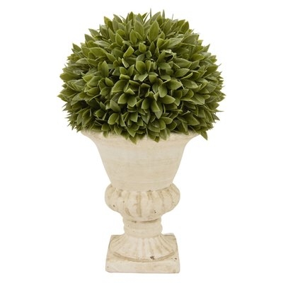 Desktop Foliage Topiary in Pot - Image 0