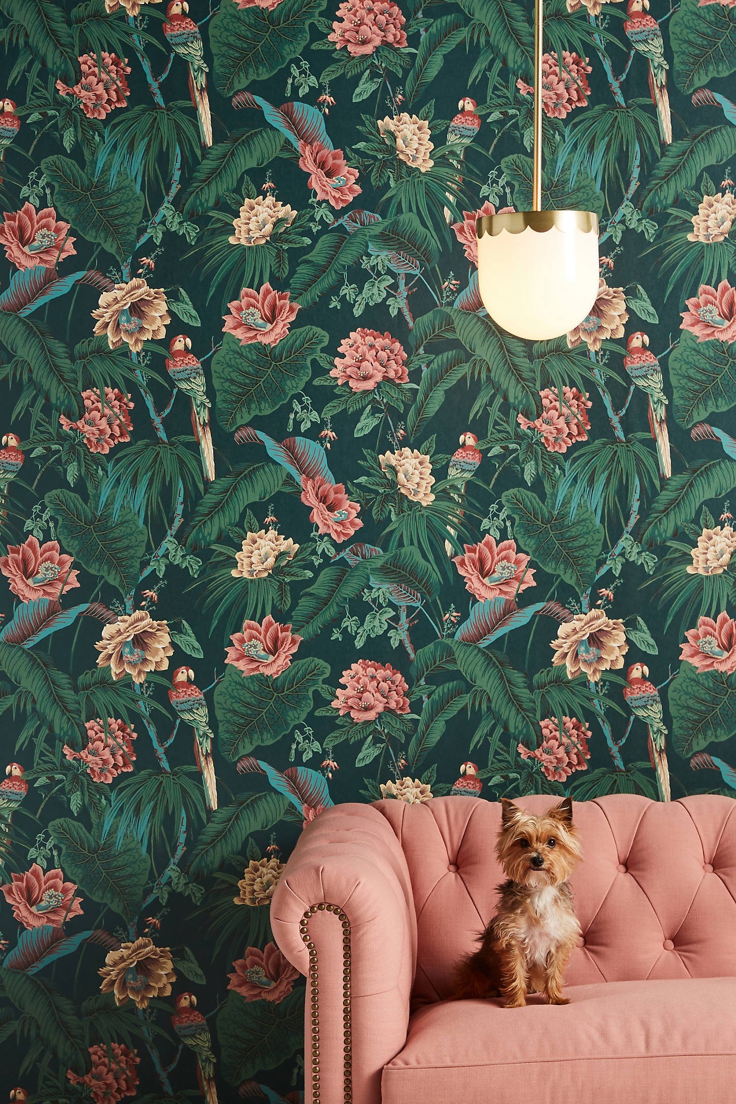 House of Hackney Paradisa Wallpaper By House of Hackney in Green - Image 0
