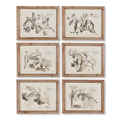 'Fruit Bearing Branch' 6 Piece Picture Frame Painting Set - Image 0