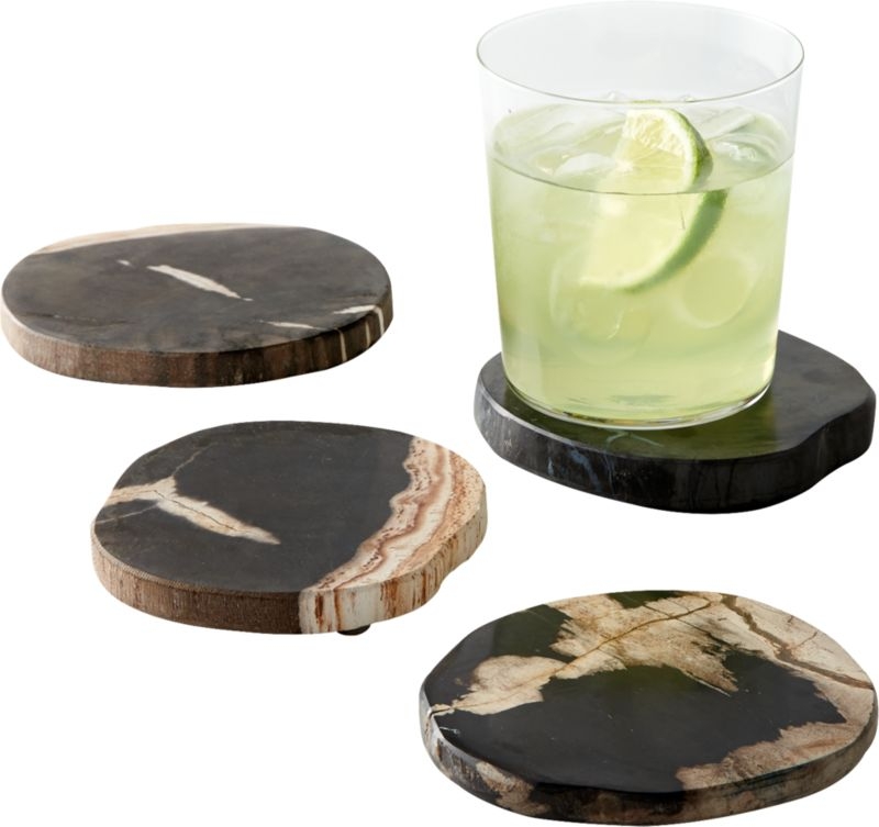 Ring Petrified Wood Coasters Set of 4 - Image 3