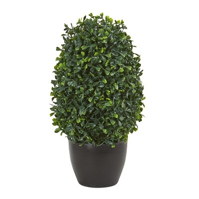 Artificial Boxwood Topiary in Planter - Image 0
