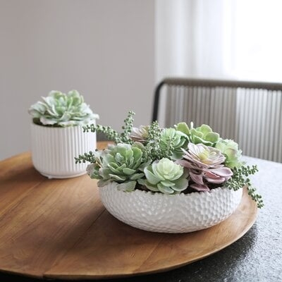 Cactus Succulent in Decorative Vase - Image 0
