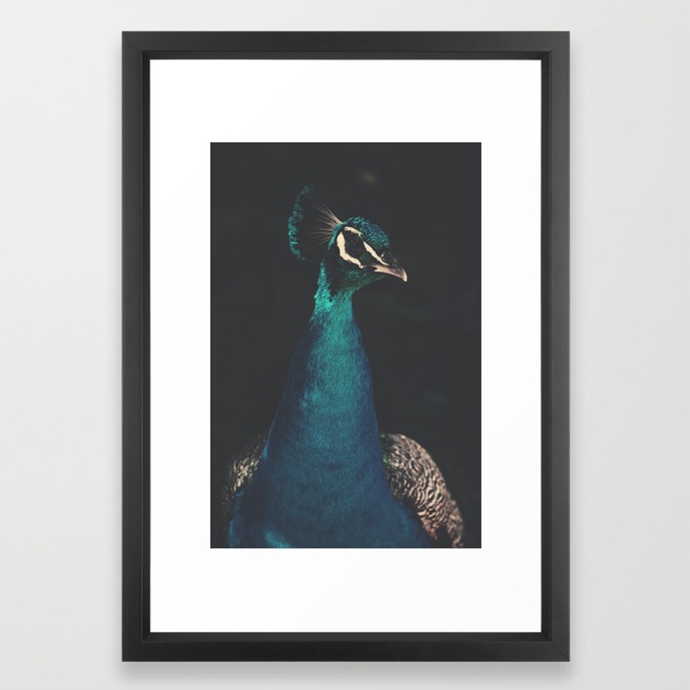 peacock and proud Framed Art Print by Ingz - Image 0