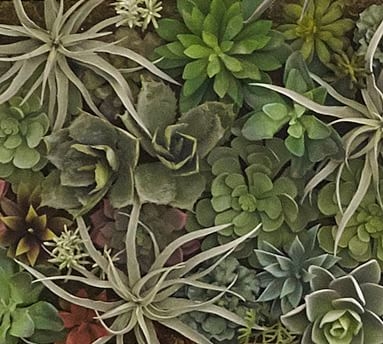 Succulent Wall, Green, Large - Image 3