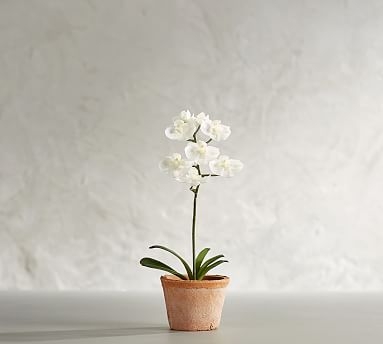 Mini Faux Potted Orchid - Image 0
