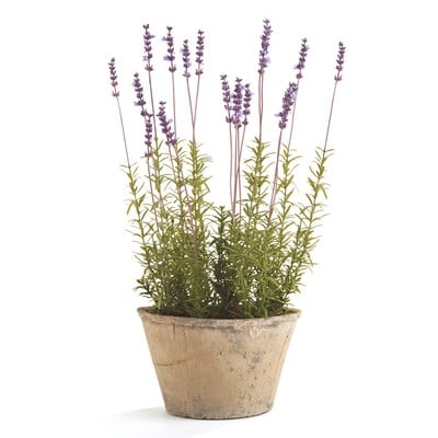 French Lavender Floral Arrangements in Pot - Image 0