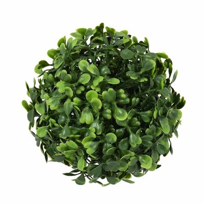 Mini Button Leaf Ball Foliage Plant (set of 4) - Image 0