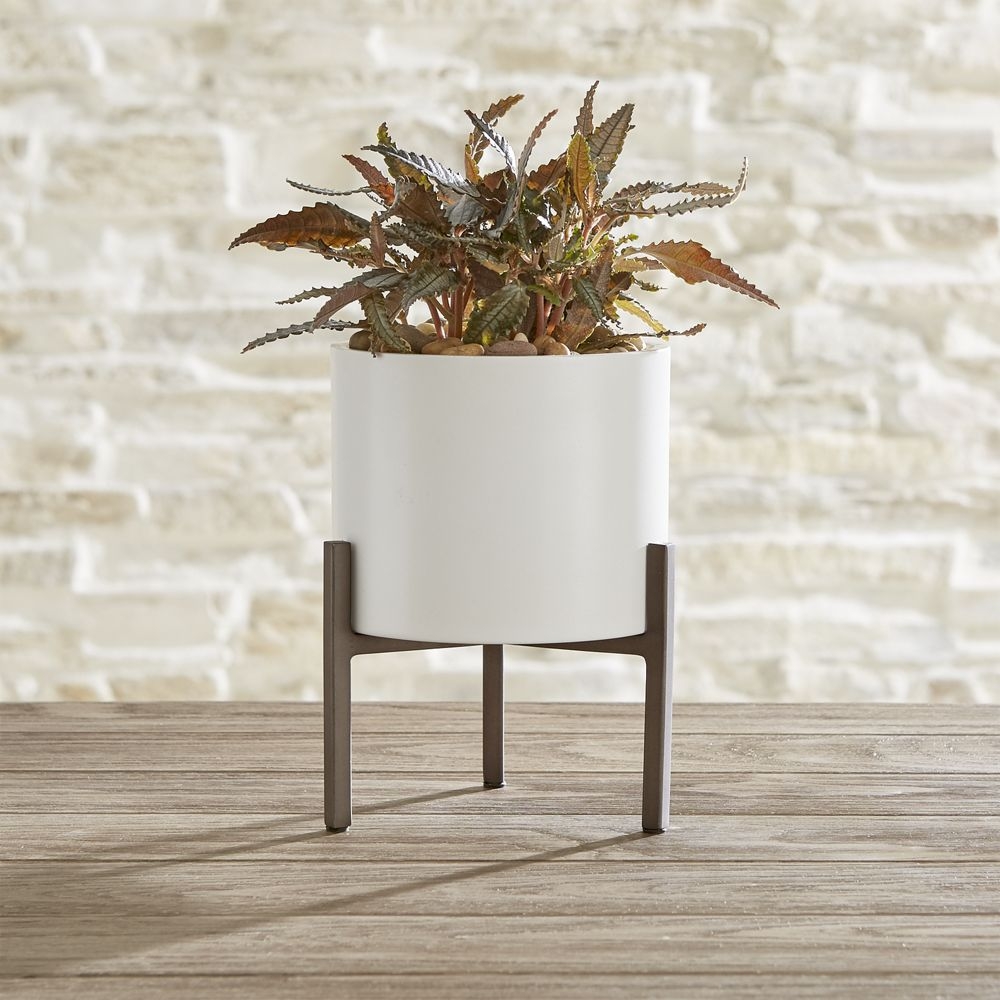 Dundee Small Tabletop Planter - Image 0