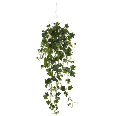 English Ivy Plant in Basket - Image 0