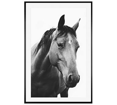 Handsome Gelding Framed Print by Jennifer Meyers, 28x42", Wood Gallery Frame, Black, Mat - Image 2