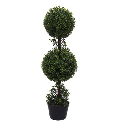 Double Ball Boxwood Topiary in Planters - Image 1