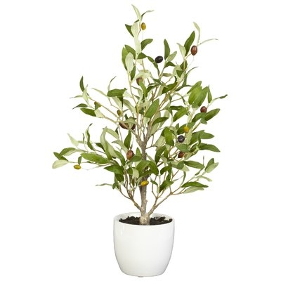 Olive Silk Desk Top Plant in Pot, Set of 2 - Image 1