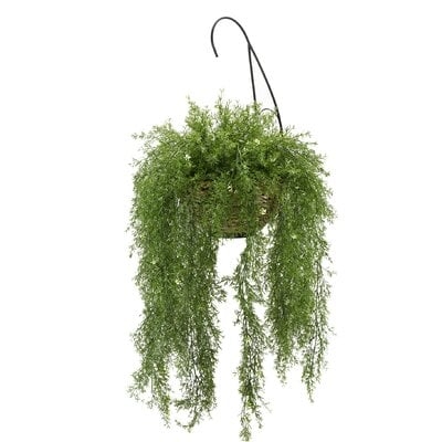 Faux Asparagus Fern Hanging Basket Ivy Plant - Image 0