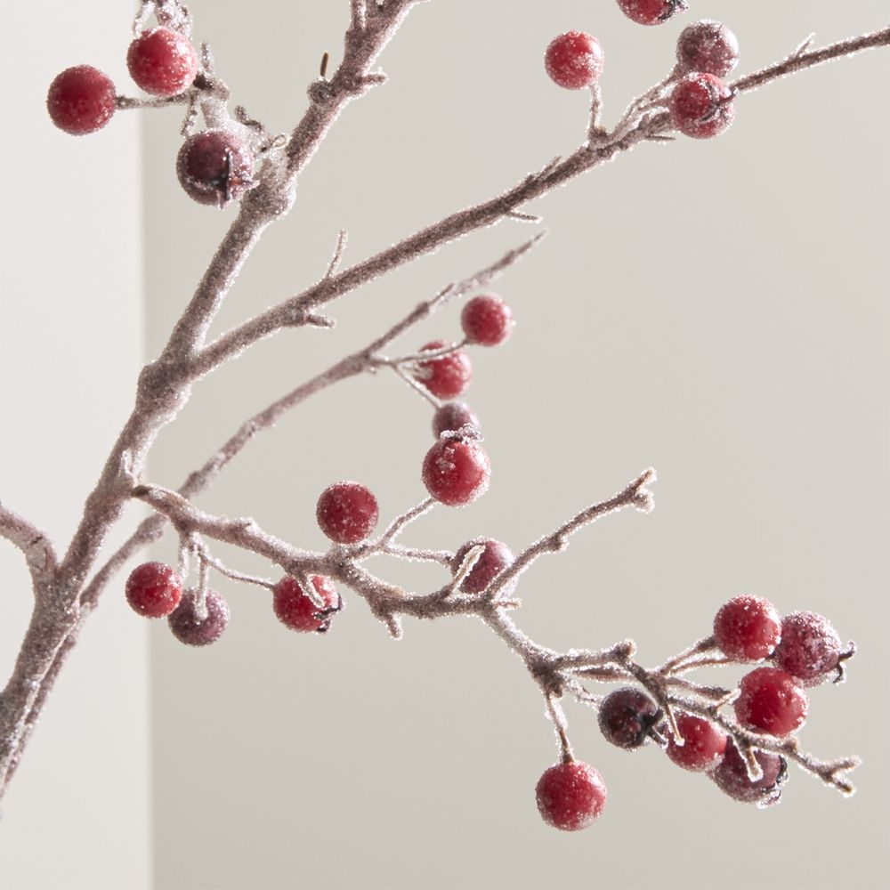 Icy Red Berry Stem Branch - Image 0