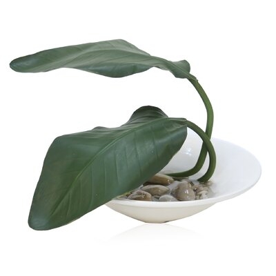 Bird of Paradise Banana Leaf Plant in Decorative Vase - Image 0