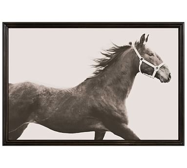 Vintage Horse by Jennifer Meyers, 42 x 28", Ridged Distressed, Black, No Mat - Image 0