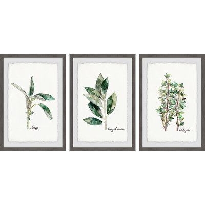 'Herb Trio Triptych' 3 Piece Framed Watercolor Painting Print Set - Image 0