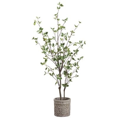 Cornus Tree in Pot - Image 0