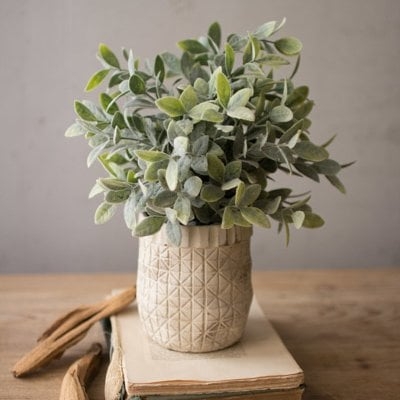 11.5'' Faux Eucalyptus Plant in Ceramic Pot - Image 0