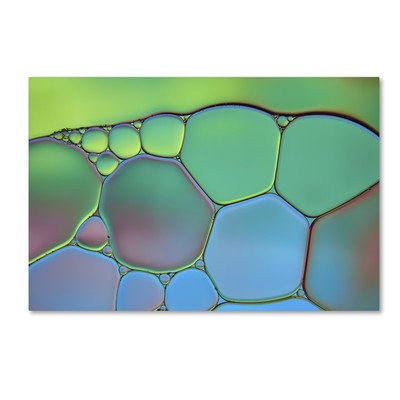 'Lime Green and Blue Stained Glass' Photographic Print on Wrapped Canvas - Image 0