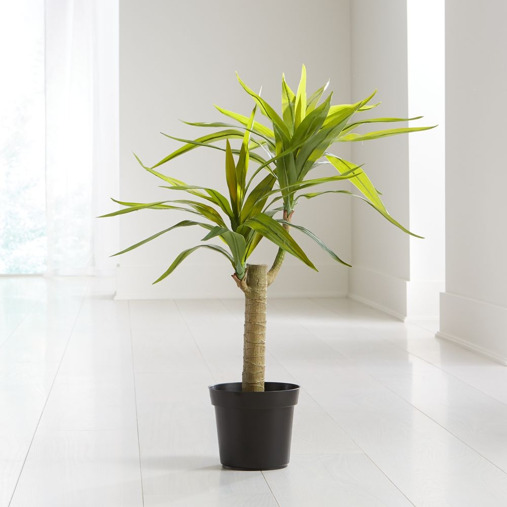 Potted Artificial Yucca - Image 0
