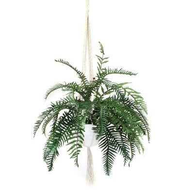 Hanging Fern Plant in Planter - Image 0