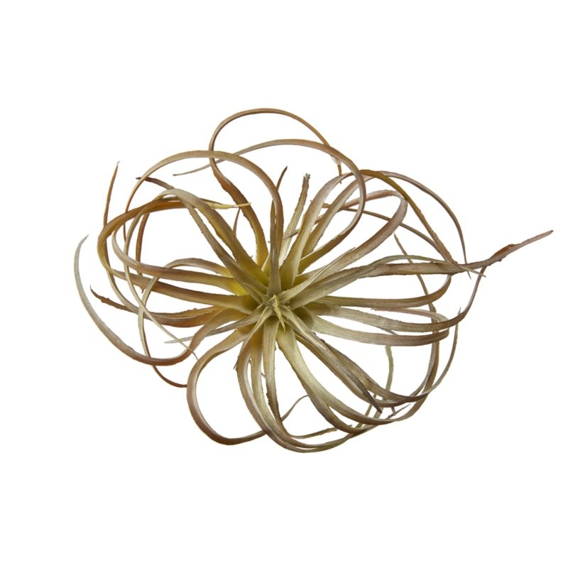 Tillandsia Curly Faux Succulent Stem - Image 3