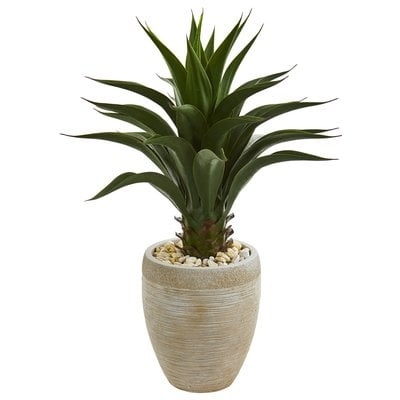 Agave Floor Foliage Plant in Planter - Image 0