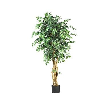 Faux Potted Palace Style Ficus Tree, 5' - Image 0
