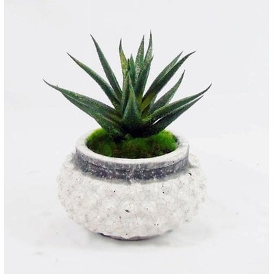 Mini Faux Agave Plant in Pot - Image 0
