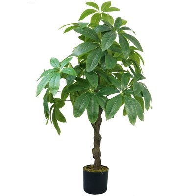 48" H Real Touch Indoor/Outdoor Pachira Aquat Tree - Image 0