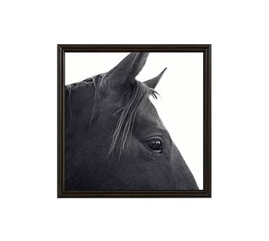 Dark Horse in Profile Framed Print by Jennifer Meyers, 25 x 25", Ridged Distressed Frame, Black, No Mat - Image 0