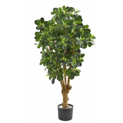 Artificial Panda Ficus Tree in Planter - Image 0