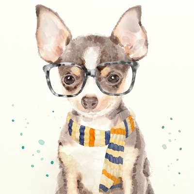 'Funky Glasses Dog II' Print on Canvas - Image 0