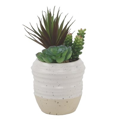 9'' Faux Succulent Plant in Ceramic Planter - Image 0