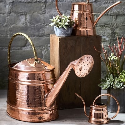 Mini Copper Watering Can - Image 1
