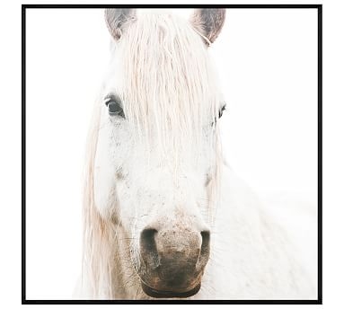 White on White Horse by Jennifer Meyers, 48 x 48", Wood Gallery, Black, No Mat - Image 0
