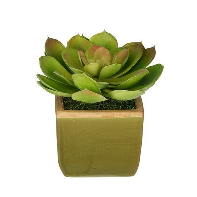 Artificial Echevaria Succulent Desk Top Plant in Pot - Image 0