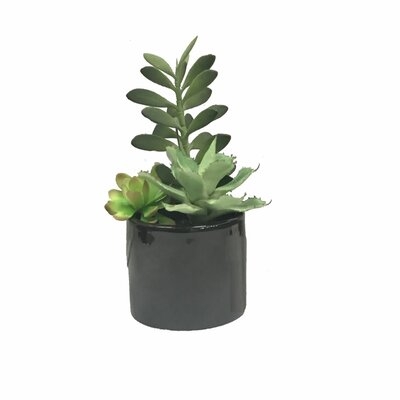 9'' Faux Succulent Plant in Cement Pot - Image 0