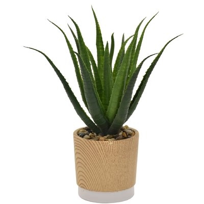 Faux Aloe Succulent in Pot - Image 0
