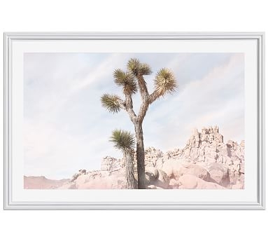 Joshua Tree #5 Framed Print by Jane Wilder, 42 x 28", Ridged Distressed Frame, White, Mat - Image 0