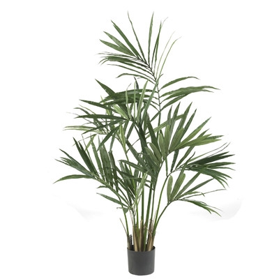 Kentia Palm Floor Tree in Pot - Image 0
