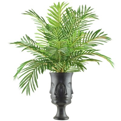 Phoenix Palm in a Face Vase - Image 0