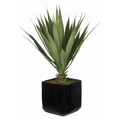 Artificial Desk Top Plant in Vase - Image 0
