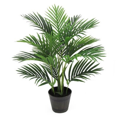Areca Real Touch Palm Tree in Planter - Image 0