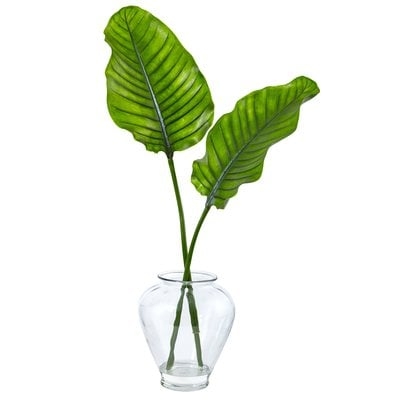 Traveler Floor Palm Plant in Decorative Vase - Image 0
