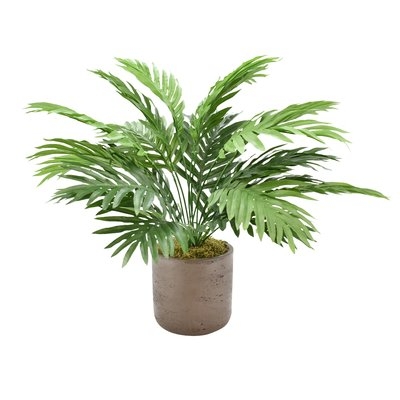 Areca Floor Palm Plant in Pot - Image 0