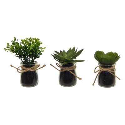 3 Piece Faux Succulent Plant in Jar Set - Image 0