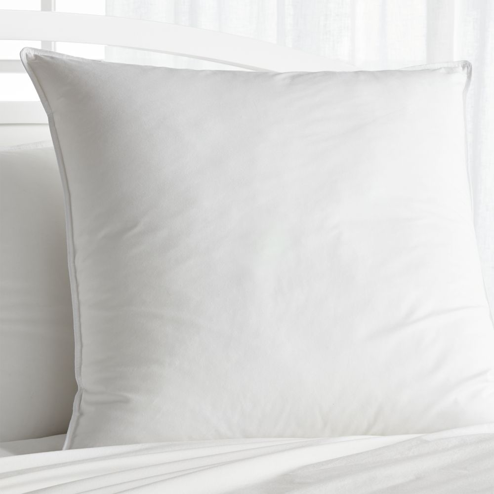 Hypoallergenic Medium Euro Pillow - Image 0