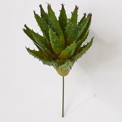 Desktop Faux Succulent Plant (Set of 4) - Image 0